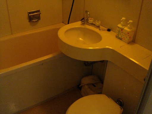 DSC07469.JPG - �����C�̓��j�b�g�o�X�ł����A�g��Ȃ��̂ł��܂�֌W�����ł��ˁB