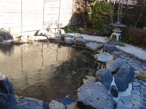 DSC07477.JPG - �I�V���C�I�L���͖����ł����A�����܂��B�܂����q��������Ȃ��đݐ؁I