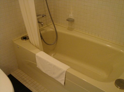 DSC07529.JPG - �����C���[���ȍL���ł��B