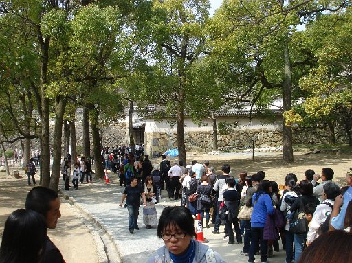 DSC07557.JPG - �V��t�ɓo��̂ɂ��̍s��I