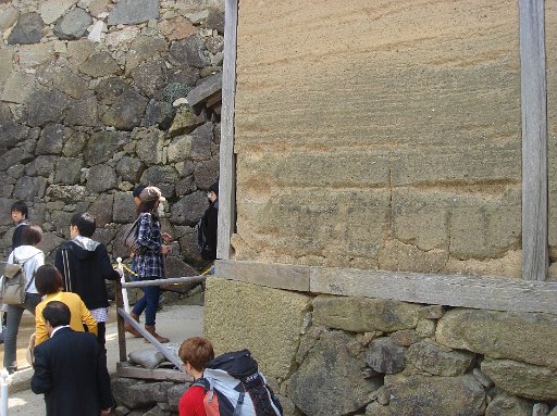 DSC07596.JPG - ��قǂ̕ǂł��ˁB�i�A��j