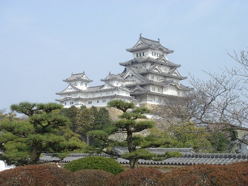 DSC07605.JPG - �V�C���ǂ��A�{���ɔ���������ł��B