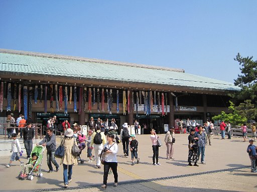 IMG_0195.JPG - �������{�����̃t�F���[����ł��B�����̂ڂ肪��������I�I