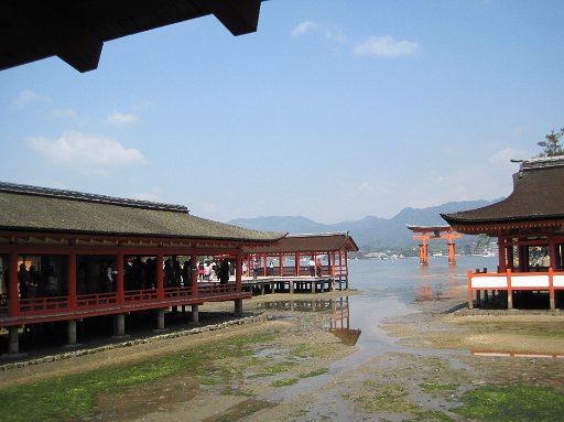 IMG_0216.JPG - ��L���璹���𒭂߂��Ƃ���B���̂�����͒����Ђ��ė��܂����B