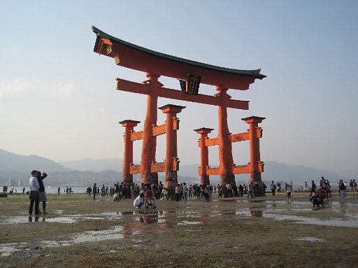 IMG_0362.JPG - ���āA���Ԃ����悭�����������čs����悤�ɂȂ�܂����I�l������ł��B