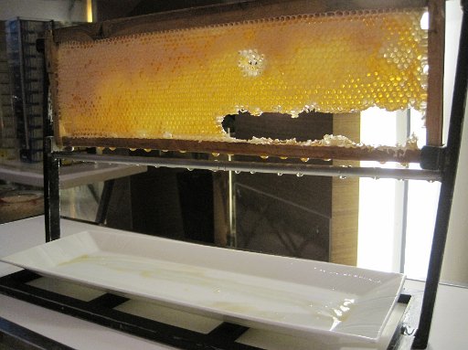 IMG_0669.JPG - �I�̑��ɓ������܂܂̃n�`�~�c�ł��B����́A�������ł���ˁB�Z���n�`�~�c�����������Ď~�܂�܂���E�E�E�B