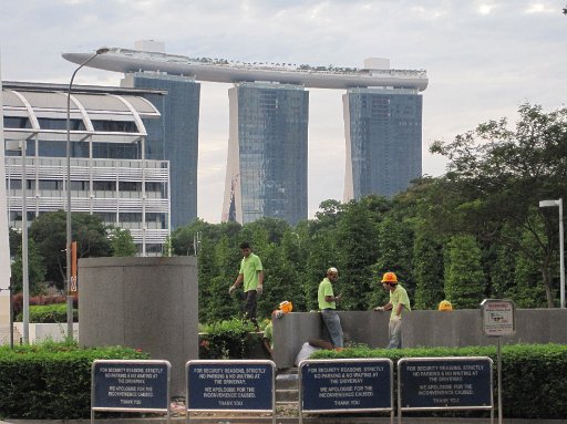 IMG_0673.JPG - �H��Ƀz�e���O�ɂă}���[�i�x�C�T���Y�B����́A�s�v�c�Ȋ��������錚���ł��ˁB