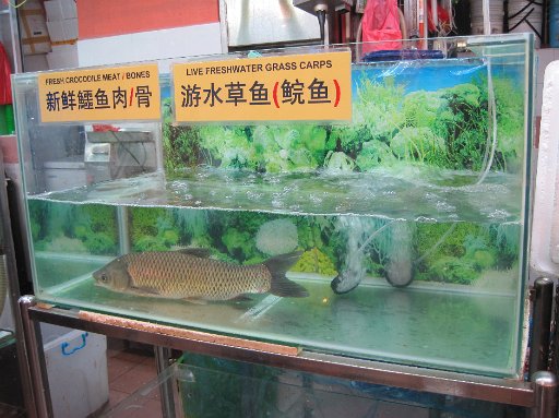 IMG_0713.JPG - ����Ȋ����ł��낢��ƁB