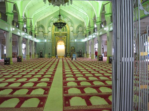 IMG_0836.JPG - ���́A�K�C�h����10�����炢�Ő��������Ă���܂��B�p��B