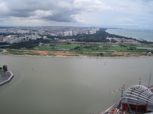 IMG_0923.JPG - �������猩��ƁA�r�������W���Ă���̂��悭����܂��B