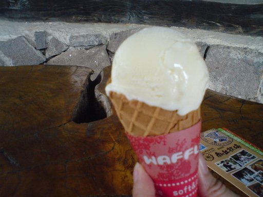 SN3E0011.JPG - �A�C�X�N���[����H�ׂ܂����B�Z���ł��B