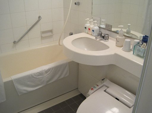 IMG_2109.JPG - �������̐����ł��B�����C�͓����C���������B���t�H���e�[�k�̂ق����L���ł��ˁB