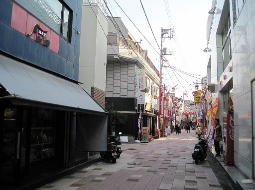 IMG_2225.JPG - �w�O�̏��X�X�́A�l�����Ȃ��ՎU�Ƃ��Ă܂����B�V���b�^�[�ʂ�Ƃ������Ƃ͖����A������܂���Y��ł��B