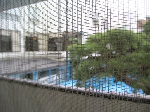 IMG_2242.JPG - ��������v�[�����݂��܂��B