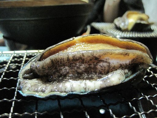 IMG_2252.JPG - ����т̃A�b�v�I