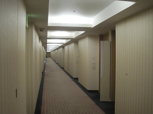 IMG_2766.JPG - �L���I�Ȃ�??���B