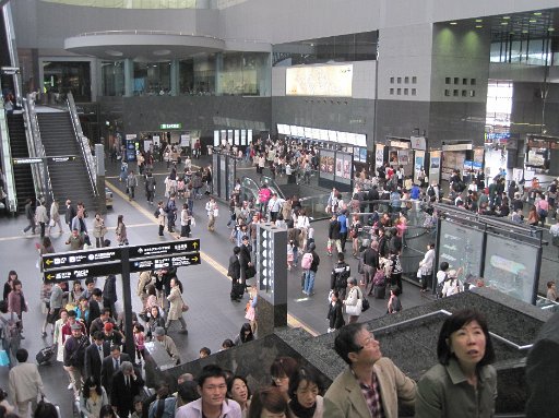 IMG_2842.JPG - �S�[���f���E�B�[�N�̋��s�w�͑卬�G�B