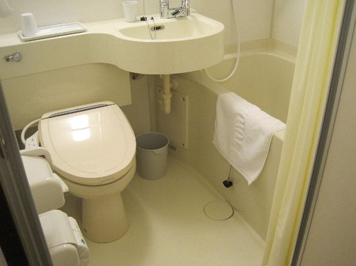 IMG_2859.JPG - �����C�������ƈ���Ċ؍����̂悤�ł��B������Ǝ֌��̂�����Ɉ�a��������܂��B�i�����C���܏��{�j