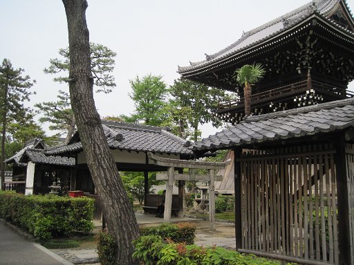 IMG_2919.JPG - �������i800�~�j