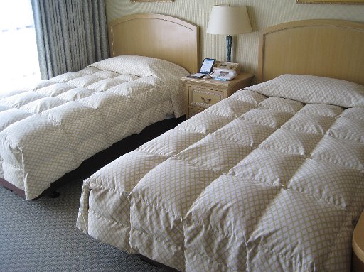 IMG_2988.JPG - �x�b�g���ӂ��ӂ��I�i�G�N�V�u���i�΁j