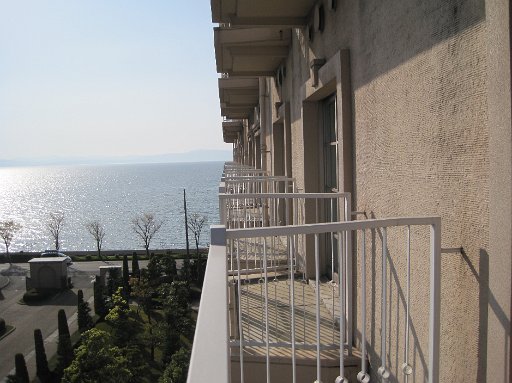 IMG_2998.JPG - �x�����_�����B�i�G�N�V�u���i�΁j