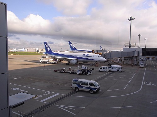 RIMG0069.jpg - ����̔�s�@@���c��`ANA�o���Q�[�g