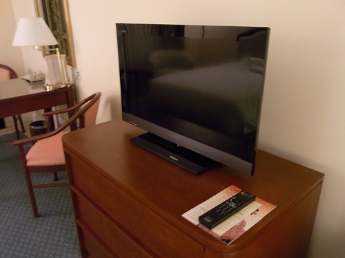 RIMG0097.jpg - �e���r�̓\�j�[�̃u���r�A�ł����B@���W�F���h�z�e���T�C�S��