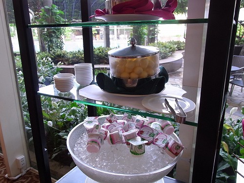 RIMG0131.jpg - ������̓��[�O���g�B�z�e�����C�h���[�O���g���ʂɂ���܂����̂ł�����̕����������������B@���W�F���h�z�e���T�C�S��