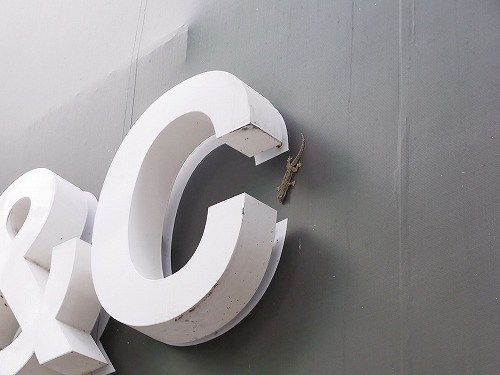 RIMG0353.jpg - �����I�I