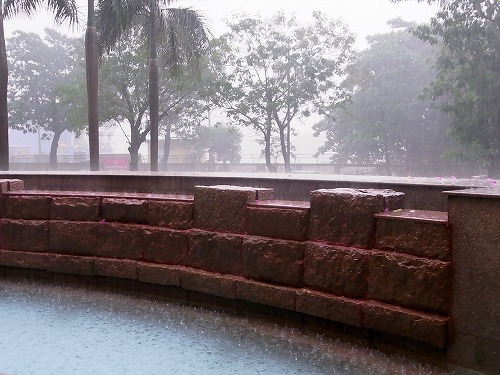 RIMG0372.jpg - ��C�ɍ~���Ă��܂��I�I�I