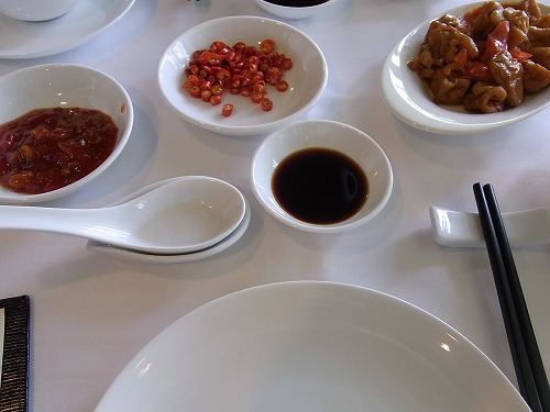 RIMG0394.jpg - �ߑO���̓v�[���ł������B�����`���z�e�����̒��؂ŊȒP�Ɂ􂨒ʂ�31,500@crystal jada palace legend hotel