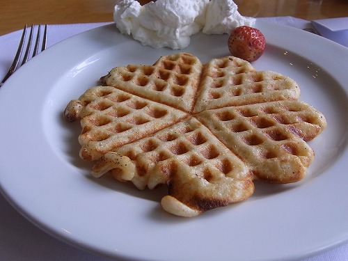 RIMG0504.jpg - ���ɍŌ�̒��H�ɂȂ�܂����I�I@���W�F���h�z�e���T�C�S��