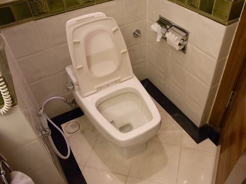 RIMG0026.jpg - �g�C���I�g�C���b�g�y�[�p�[���|�p�ł��ˁB