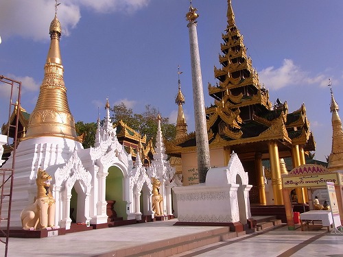 RIMG0144.jpg - ���C���̃V���G�^�S�H���p���[�I����́A�K�͂��Ⴂ�܂��B���؈�ࣁB