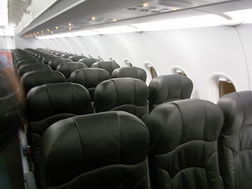 R0010015.jpg - �@���͉\�ʂ�̊v����̃V�[�g�ł��B���\���h�ȍ��ŁA�ނ���ANA���������C�����܂��B