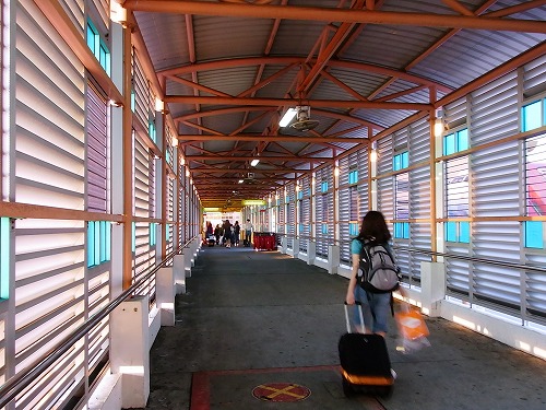 R0010020.jpg - ��s�@���~�肽��͒��@��݂����ȂƂ�����Ђ���������܂��I�ł��A�ꉞ�����ƕǂ������āA���J�͂��̂������ɂȂ��Ă܂��B�g�^���̎��f�ȍ��ł͂���܂����B�B�B