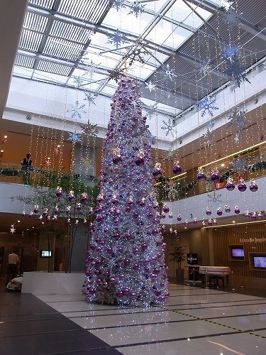 R0010062.jpg - ����́A�r���ŃR�[�q�[���������ɂ݂������N���X�}�X�c���[�I�����V�N�ł����ǁA�������̓N���X�}�X���V�N���ꏏ�Ȋ����ł��B�������ɂȂ�Ƃ����ƕς��̂��Ǝv���܂��B