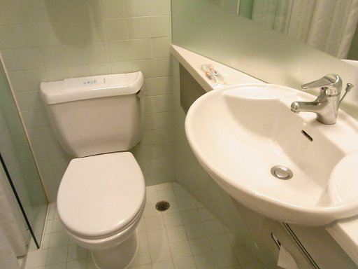 R0010353.JPG - ������̓g�C�������ʏ��ł��B���������������������Y��ł��ˁB�������͌��Ă̒ʂ蒴�ȈՕ�ŃA���j�e�B���ȁ[��ɂ�����܂���B�Ō`�Ό������������ȁH�H