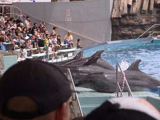 R0010575.JPG - �V���[����������y���߂܂����B�S�̓I�ɂƂĂ��y���߂鐅���قł���B