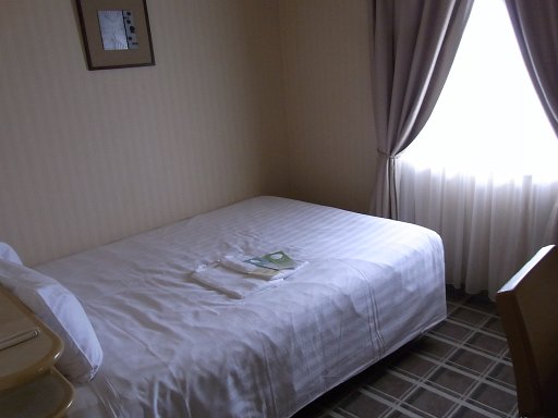 R0010659.JPG - �x�b�h�����ʂł��B�Ƃ��Ă����ʂȃr�W�l�X�z�e���ł��B