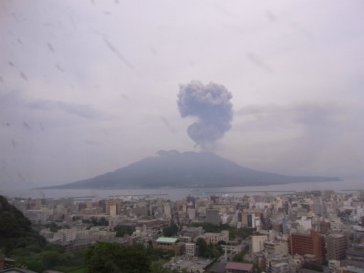 R0010739.JPG - �����ĕ��΁I�I