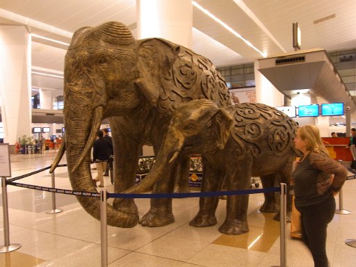 R0011519.JPG - 11/10NH918-12/7NH917�@�f���[��`�ł��B�\�z�O�ɋߑ�I�ȋ�`�͂܂��ł��Ă��炻��قǌo���Ă��Ȃ��悤�ł��BANA���^�s�J�n���Ă��ꂽ���ɖ{���Ɋ��ӂł��B