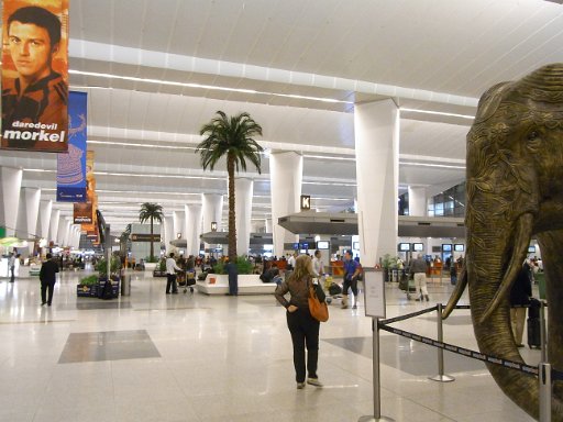 R0011520.JPG - �C���h�ɂ���Ȃɂ��Ă��ȏ��������Ă܂�Ŗ��̂悤�ł��B