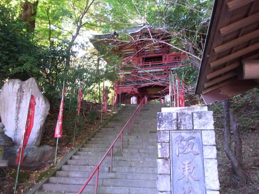 R0011568.JPG - ����ω������łɂ��Q��B���悢�V�[�Y���Ń��b�L�[�ł��B