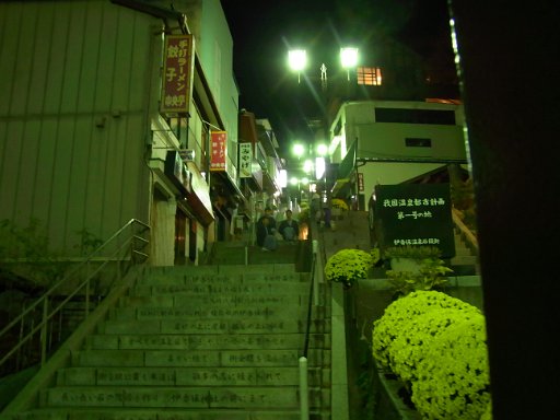 R0011610.JPG - ��͂��邢�ĎU���֏o�����܂��B�Βi�X�܂łӂ���ƍs����̂����͂ł��ˁB�܂�ŏ��a�Ȓ����݂��f�G�ł��B